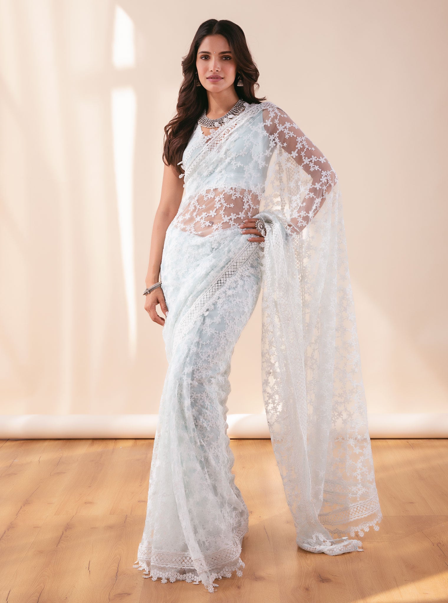 Peora Net Blue Saree