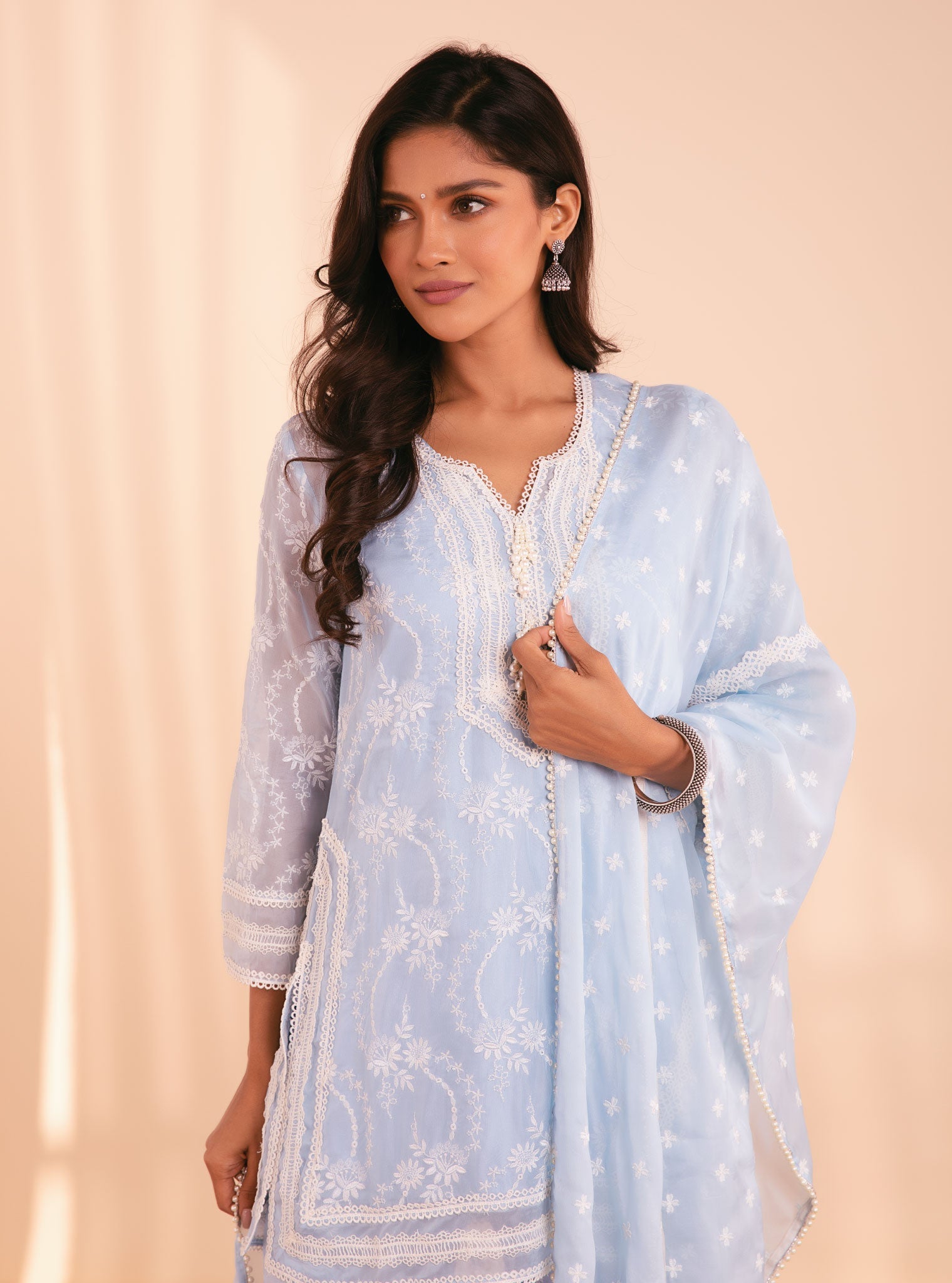 Mulmul Organza Luna Blue Kurta